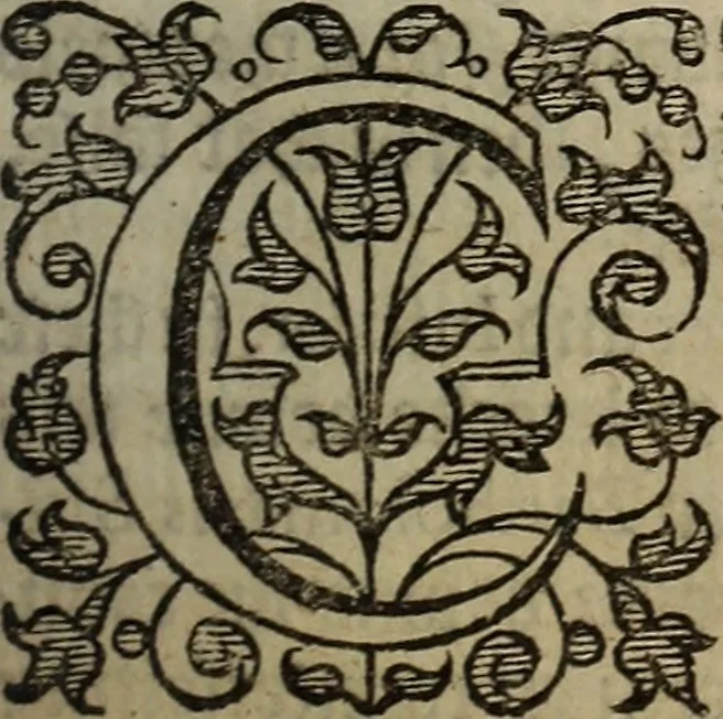 An illustration from The discouerie of witchcraft, : wherein the lewde dealing of witches and witchmongers is notablie detected, the knauerie of coniurors, the impietie of inchantors, the follie of soothsaiers, the impudent falshood of cousenors, the infidelitie of atheists, the pestilent practices of Pythonists, the curiositie of figure casters, the vanitie of dreamers, the beggerlie art of alcumystrie, the abhomination of idolatrie, the horrible art of poisoning, the vertue and power of naturall magike, and all the conueiances of legierdemaine and iuggling are deciphered: and many other things opened, which have long lien hidden, howbeit verie necessarie to be knowne. : Heerevnto is added a treatise vpon the nature and substance of spirits and diuels, & c, 1584, leaf 98