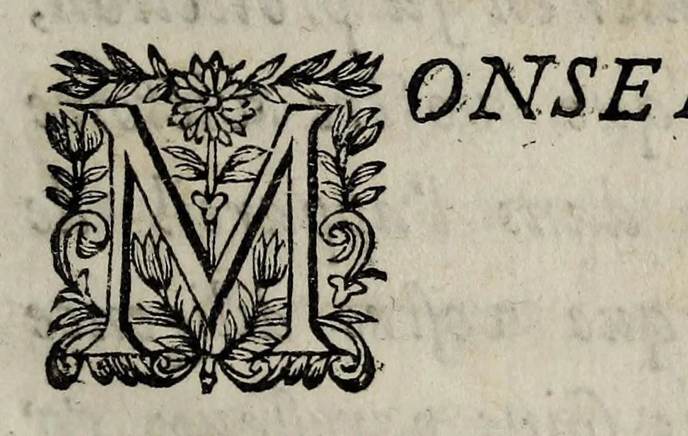 An illustration from Discours politiques a Agathon, sur les assemblees du Parlement & sur les mouuemens derniers., 1654, leaf 9