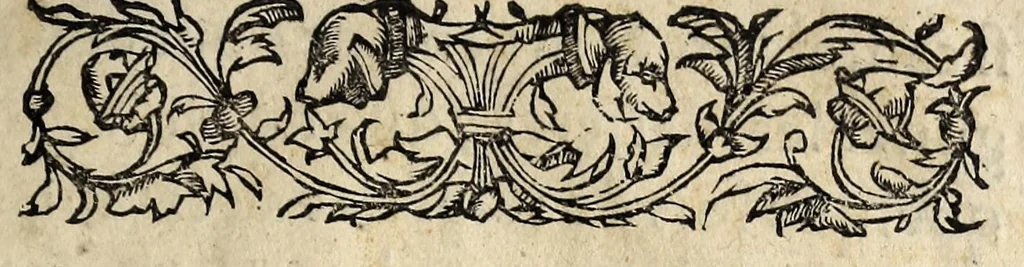 An illustration from Discours au vray et en abbrege de ce qui est dernieremẽt aduenu à Vassi, y passant Monseigneur le duc de Guise., 1562, leaf 3