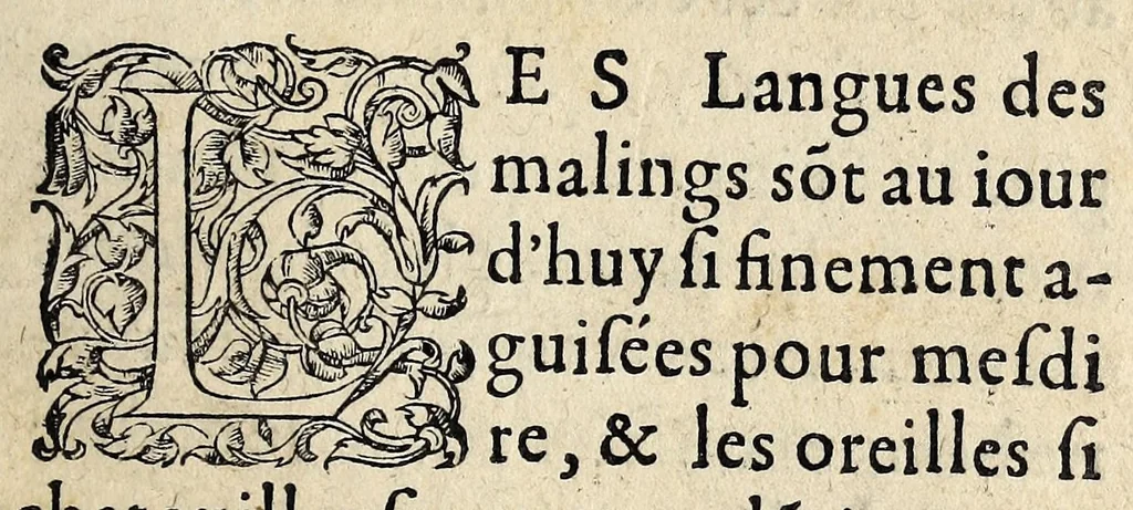 An illustration from Discours au vray et en abbrege de ce qui est dernieremẽt aduenu à Vassi, y passant Monseigneur le duc de Guise., 1562, leaf 3