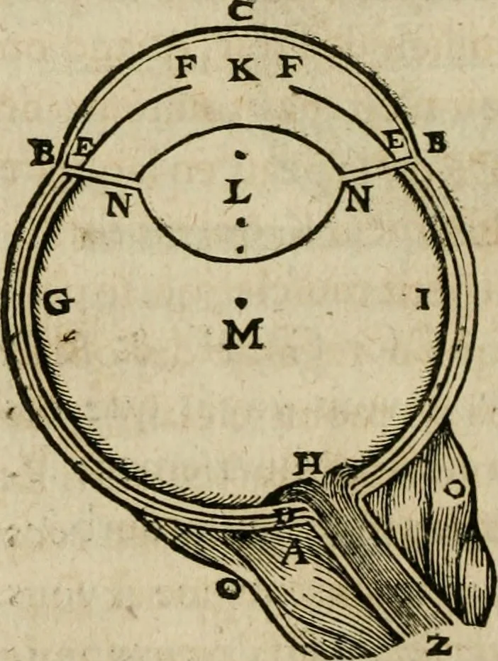 An illustration from Discours de la methode : pour bien conduire sa raison, & chercher la verité dans les sciences : Plus La dioptrique, et Les meteores. Qui sont des essais de cette methode., 1667, leaf 109