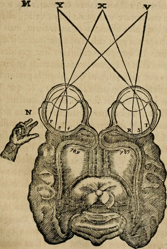 An illustration from Discours de la methode : pour bien conduire sa raison, & chercher la verité dans les sciences : Plus La dioptrique, et Les meteores. Qui sont des essais de cette methode., 1667, leaf 132