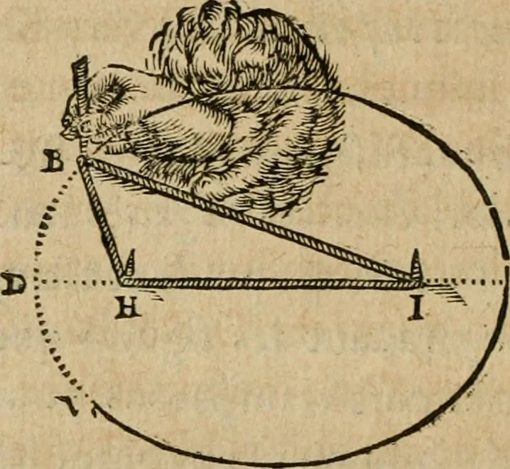 An illustration from Discours de la methode : pour bien conduire sa raison, & chercher la verité dans les sciences : Plus La dioptrique, et Les meteores. Qui sont des essais de cette methode., 1667, leaf 173