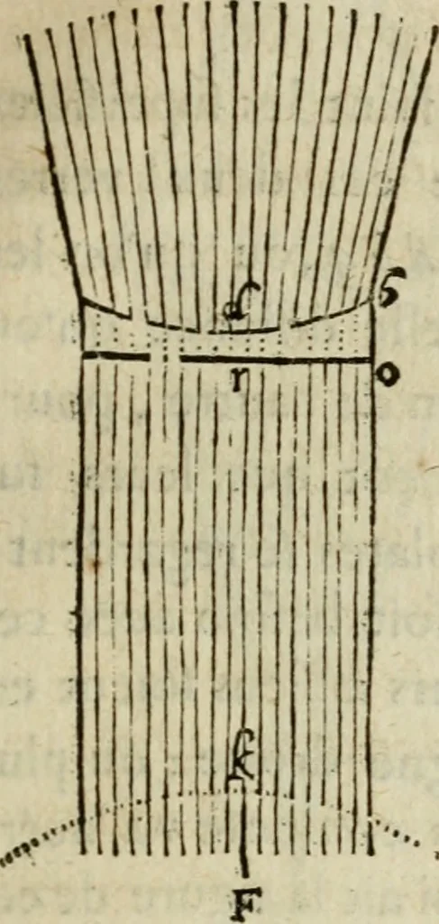 An illustration from Discours de la methode : pour bien conduire sa raison, & chercher la verité dans les sciences : Plus La dioptrique, et Les meteores. Qui sont des essais de cette methode., 1667, leaf 190