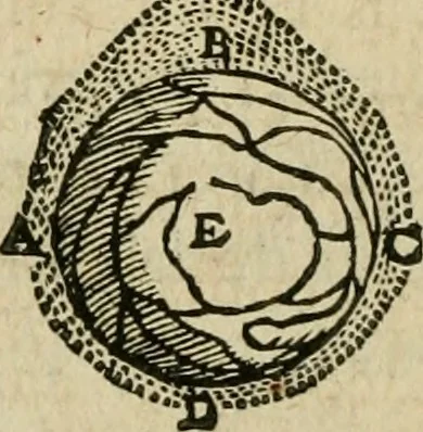 An illustration from Discours de la methode : pour bien conduire sa raison, & chercher la verité dans les sciences : Plus La dioptrique, et Les meteores. Qui sont des essais de cette methode., 1667, leaf 277