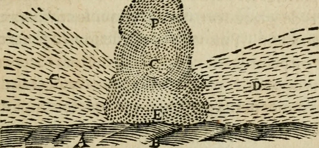 An illustration from Discours de la methode : pour bien conduire sa raison, & chercher la verité dans les sciences : Plus La dioptrique, et Les meteores. Qui sont des essais de cette methode., 1667, leaf 294
