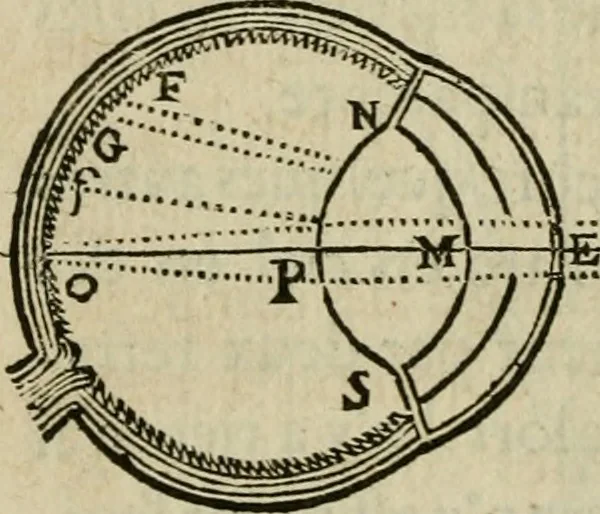 An illustration from Discours de la methode : pour bien conduire sa raison, & chercher la verité dans les sciences : Plus La dioptrique, et Les meteores. Qui sont des essais de cette methode., 1667, leaf 361