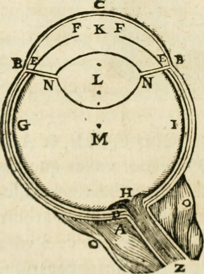 An illustration from Discours de la methode : pour bien conduire sa raison, & chercher la verité dans les sciences : Plus La dioptrique, et Les meteores. Qui sont des essais de cete methode, 1658, leaf 109