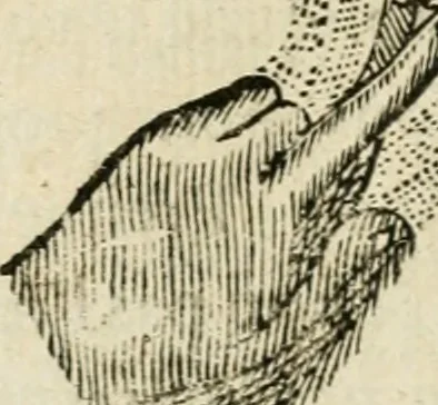 An illustration from Discours de la methode : pour bien conduire sa raison, & chercher la verité dans les sciences : Plus La dioptrique, et Les meteores. Qui sont des essais de cete methode, 1658, leaf 147