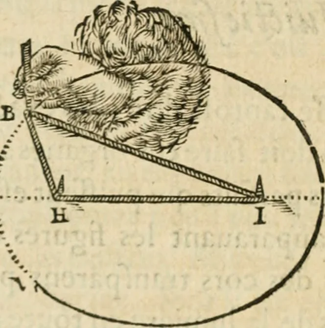 An illustration from Discours de la methode : pour bien conduire sa raison, & chercher la verité dans les sciences : Plus La dioptrique, et Les meteores. Qui sont des essais de cete methode, 1658, leaf 173