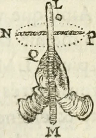An illustration from Discours de la methode : pour bien conduire sa raison, & chercher la verité dans les sciences : Plus La dioptrique, et Les meteores. Qui sont des essais de cete methode, 1658, leaf 251