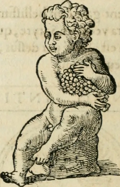 An illustration from Discours de la religion des anciens Romains--, 1581, leaf 151