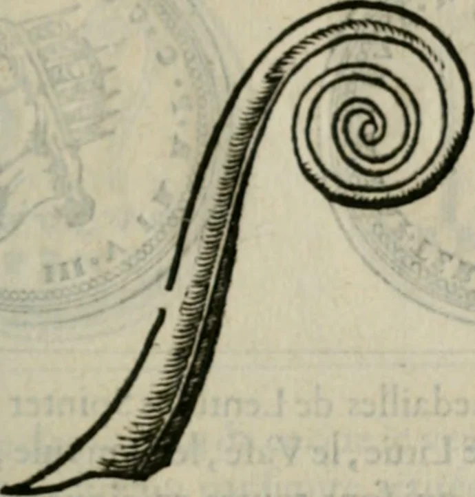 An illustration from Discours de la religion des anciens Romains--, 1581, leaf 254
