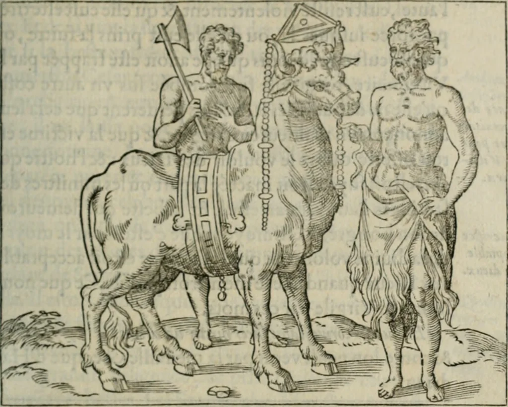 An illustration from Discours de la religion des anciens Romains--, 1581, leaf 304