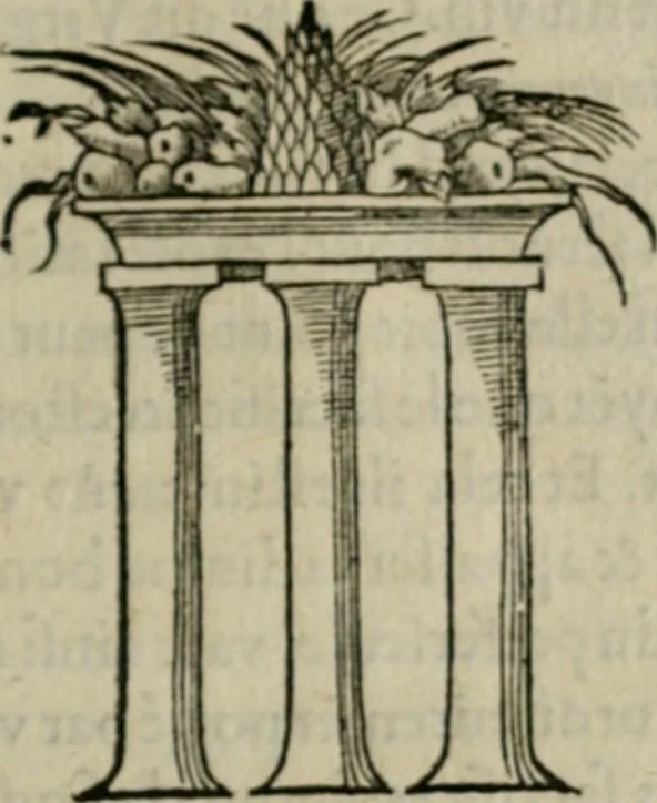 An illustration from Discours de la religion des anciens Romains--, 1581, leaf 310