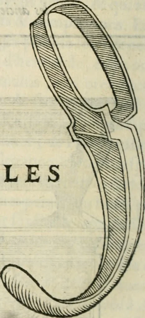 An illustration from Discours de la religion des anciens Romains--, 1581, leaf 525