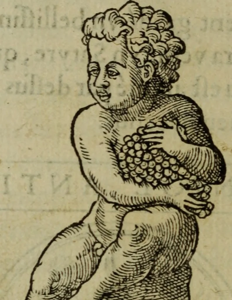 An illustration from Discours de la religion des anciens Romains : de la castrametation & discipline militaire d'iceux. Des bains & antiques exercitations grecques & romaines ..., 1581, leaf 145
