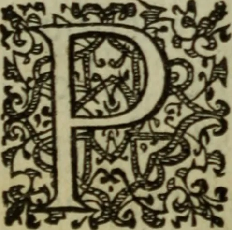An illustration from Discours de la religion des anciens Romains : de la castrametation & discipline militaire d'iceux. Des bains & antiques exercitations grecques & romaines ..., 1581, leaf 257