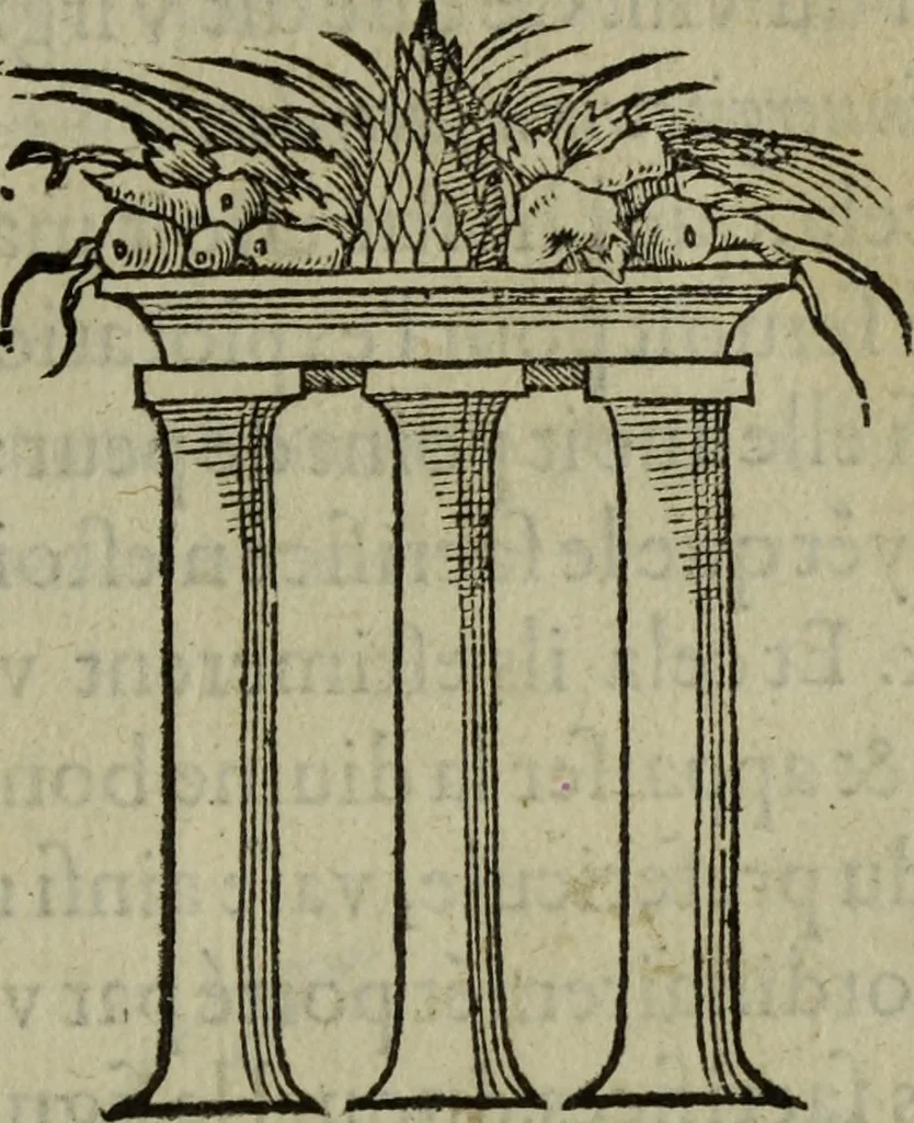 An illustration from Discours de la religion des anciens Romains : de la castrametation & discipline militaire d'iceux. Des bains & antiques exercitations grecques & romaines ..., 1581, leaf 304