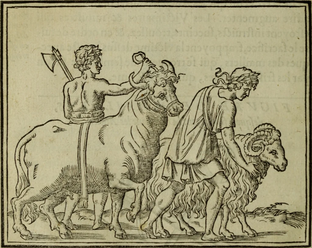An illustration from Discours de la religion des anciens Romains : de la castrametation & discipline militaire d'iceux. Des bains & antiques exercitations grecques & romaines ..., 1581, leaf 309
