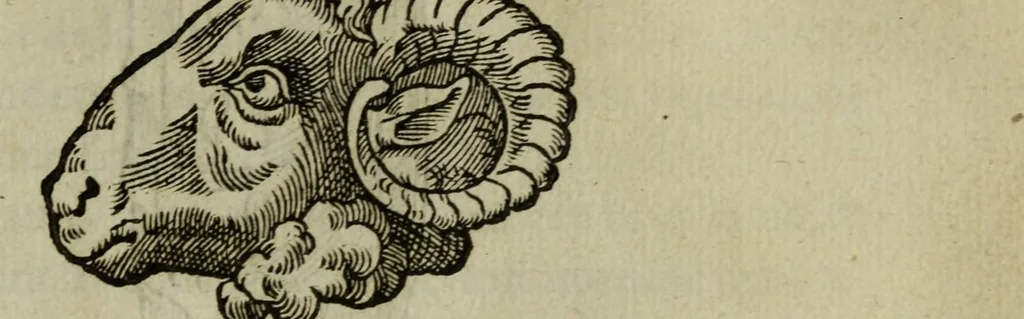 An illustration from Discours de la religion des anciens Romains : de la castrametation & discipline militaire d'iceux. Des bains & antiques exercitations grecques & romaines ..., 1581, leaf 316