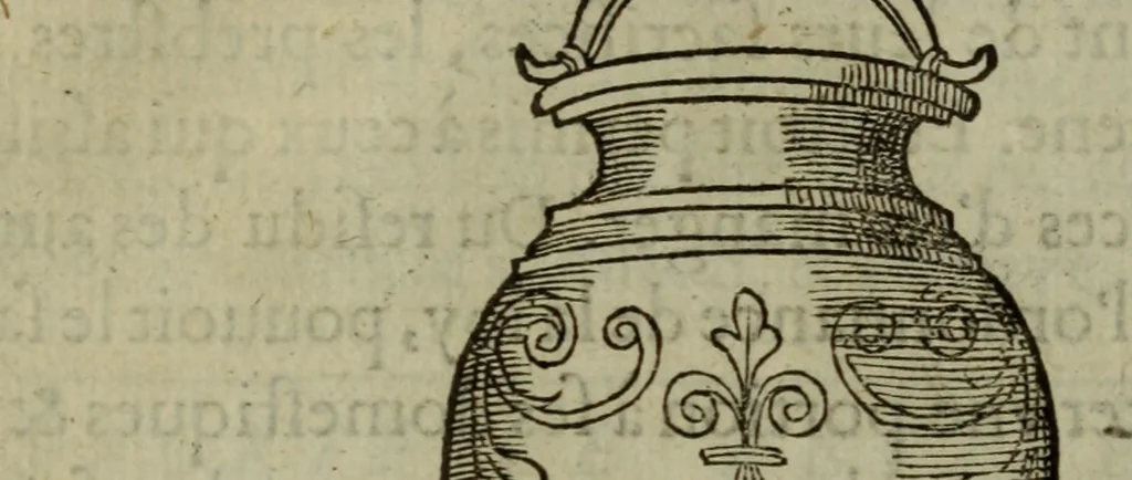An illustration from Discours de la religion des anciens Romains : de la castrametation & discipline militaire d'iceux. Des bains & antiques exercitations grecques & romaines ..., 1581, leaf 325