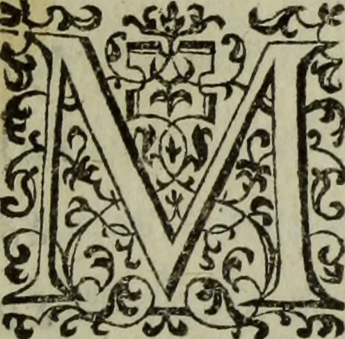 An illustration from Discours de la religion des anciens Romains : de la castrametation & discipline militaire d'iceux. Des bains & antiques exercitations grecques & romaines ..., 1581, leaf 372