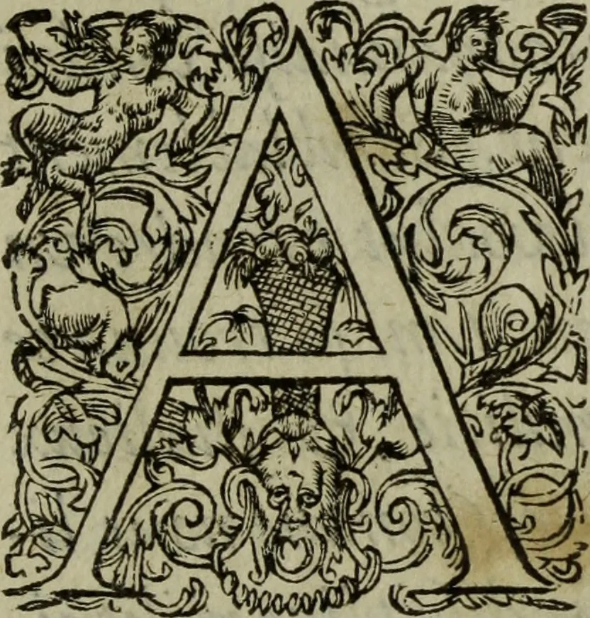 An illustration from Discours de la religion des anciens Romains : de la castrametation & discipline militaire d'iceux. Des bains & antiques exercitations grecques & romaines ..., 1581, leaf 396