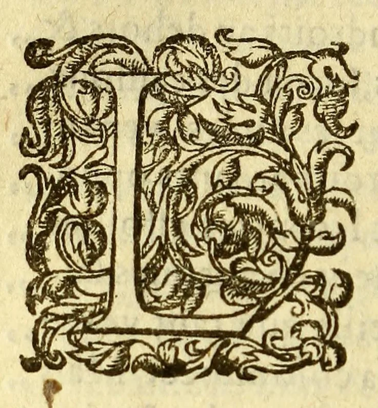 An illustration from Discours de la verité : des causes et effects, des divers cours, mouuements, flux, reflux, & faleure de la mer oceane, Mer Mediterranee & autres mers de la terre., 1600, leaf 408