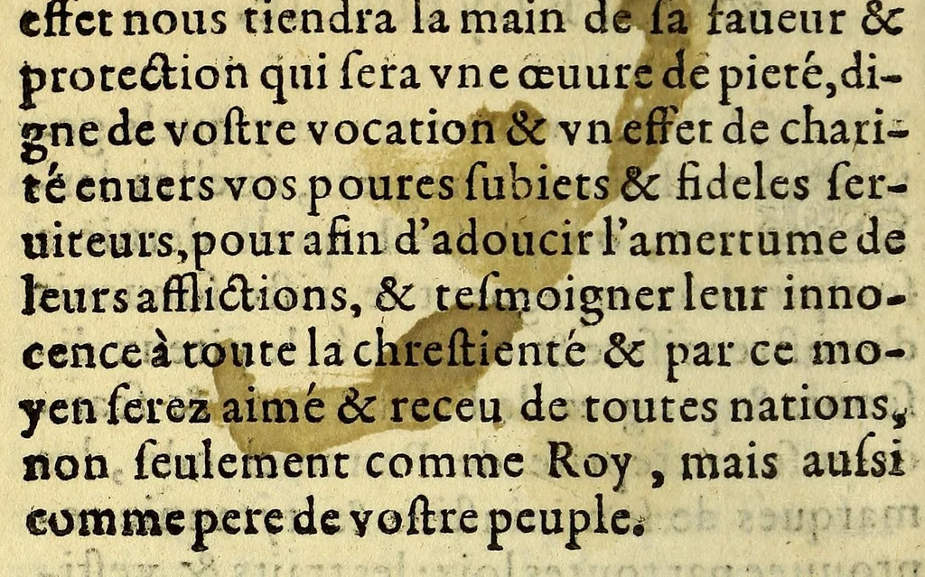 An illustration from Discours de l'histoire de la Floride, : contenant la cruauté des Espagnols, contre les subiets du roy, en l'an mil cinq cens soixante cinq. : Redigé au vray par ceux qui en sont restez, chose auta[n]t lamentable à oüir, qu'elle a esté proditoirement & cruellement executee par lesdits Espagnols: contre l'autorité du roy nostre sire, à la perte & dommage de tout ce royaume. : Item, vne requeste au roy, faite en forme de complainte par les femmes vefues, petits enfans orphelins & autres leurs amis, parens & alliez de ceux qui ont esté cruellement enuahis par les Espagnols, en la France anthartique, dite la Floride, 1566, leaf 70