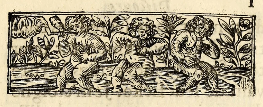An illustration from Discours du tabac, ou il est traité particulierement du tabac en poudre. : Avec des raisonnemens physiques sur les vertus & sur les effets de cette plante, & de ses divers usages dans la medecine., 1693, leaf 29