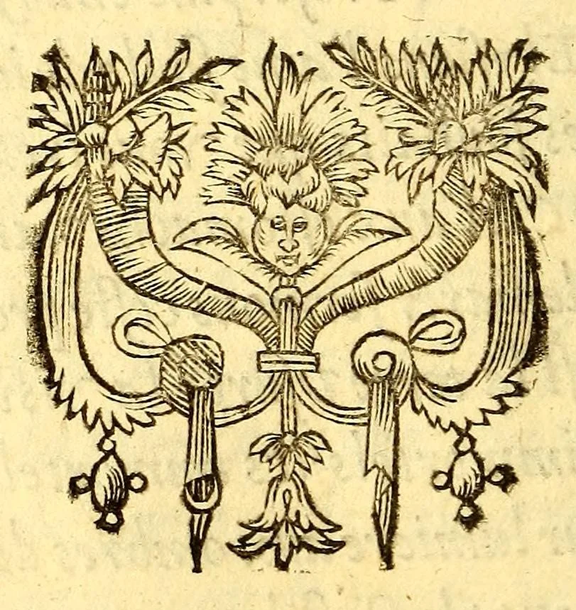 An illustration from Discours du voyage fait par le Capitaine Iaques Cartier aux terres-neufues de Canadas, Norembergue, Hochelage, Labrador, & pays adiacens, dite nouuelle France, : auec particulieres moeurs, langage, & ceremonies des habitans d'icelle, 1598, leaf 12
