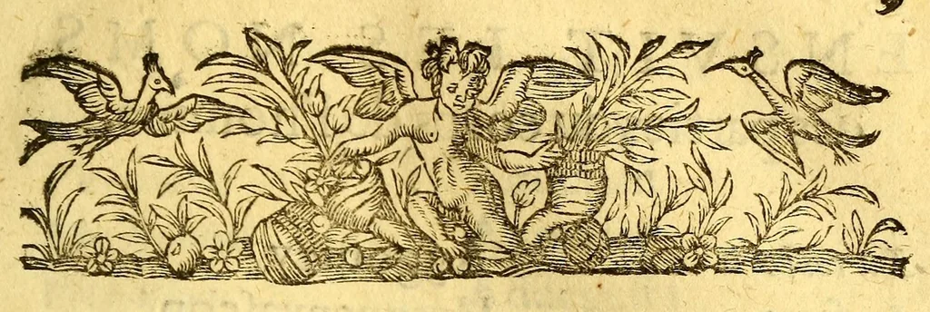 An illustration from Discours du voyage fait par le Capitaine Iaques Cartier aux terres-neufues de Canadas, Norembergue, Hochelage, Labrador, & pays adiacens, dite nouuelle France, : auec particulieres moeurs, langage, & ceremonies des habitans d'icelle, 1598, leaf 13