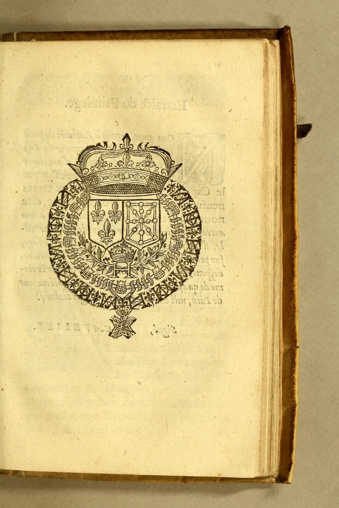 An illustration from Discours du voyage fait par le Capitaine Iaques Cartier aux terres-neufues de Canadas, Norembergue, Hochelage, Labrador, & pays adiacens, dite nouuelle France, : auec particulieres moeurs, langage, & ceremonies des habitans d'icelle, 1598, leaf 19