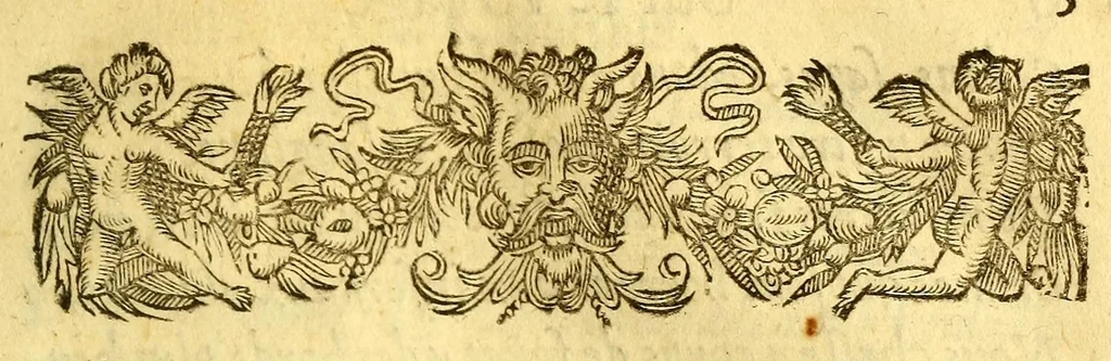 An illustration from Discours du voyage fait par le Capitaine Iaques Cartier aux terres-neufues de Canadas, Norembergue, Hochelage, Labrador, & pays adiacens, dite nouuelle France, : auec particulieres moeurs, langage, & ceremonies des habitans d'icelle, 1598, leaf 9