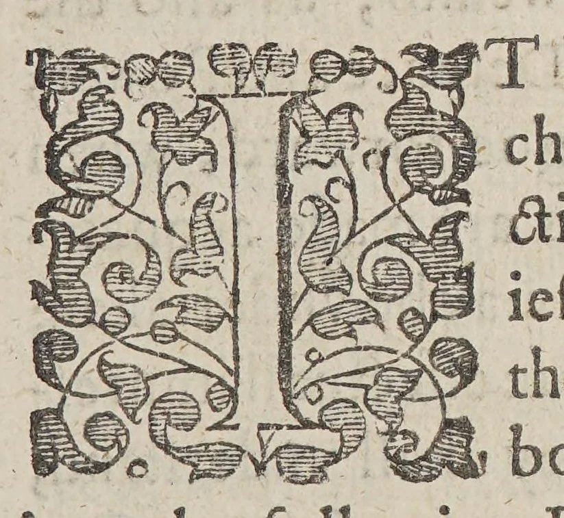An illustration from A discourse and discouery of New-found-land, with many reasons to prooue how worthy and beneficiall a plantation may there be made, after a far better manner than now it is. : Together with the laying open of certaine enormities and abuses committed by some that trade to that countrey, and the meanes laid downe for reformation thereof., 1620, leaf 11