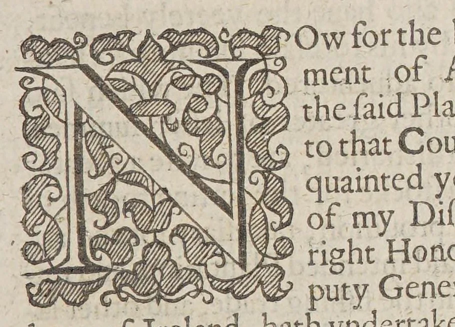 An illustration from A discourse and discouery of New-found-land, with many reasons to prooue how worthy and beneficiall a plantation may there be made, after a far better manner than now it is. : Together with the laying open of certaine enormities and abuses committed by some that trade to that countrey, and the meanes laid downe for reformation thereof., 1622, leaf 105