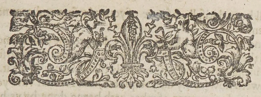 An illustration from A discourse and discouery of New-found-land, with many reasons to prooue how worthy and beneficiall a plantation may there be made, after a far better manner than now it is. : Together with the laying open of certaine enormities and abuses committed by some that trade to that countrey, and the meanes laid downe for reformation thereof., 1622, leaf 141