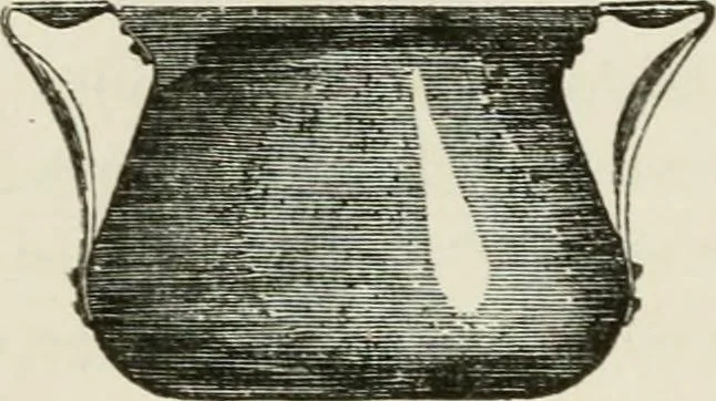 An illustration from Discourses on architecture, 1875, leaf 229