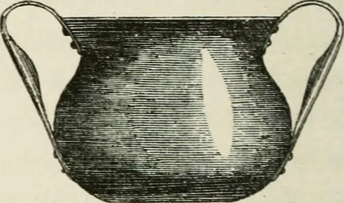 An illustration from Discourses on architecture, 1875, leaf 229