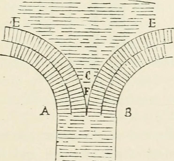 An illustration from Discourses on architecture, 1875, leaf 294