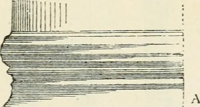 An illustration from Discourses on architecture, 1875, leaf 394