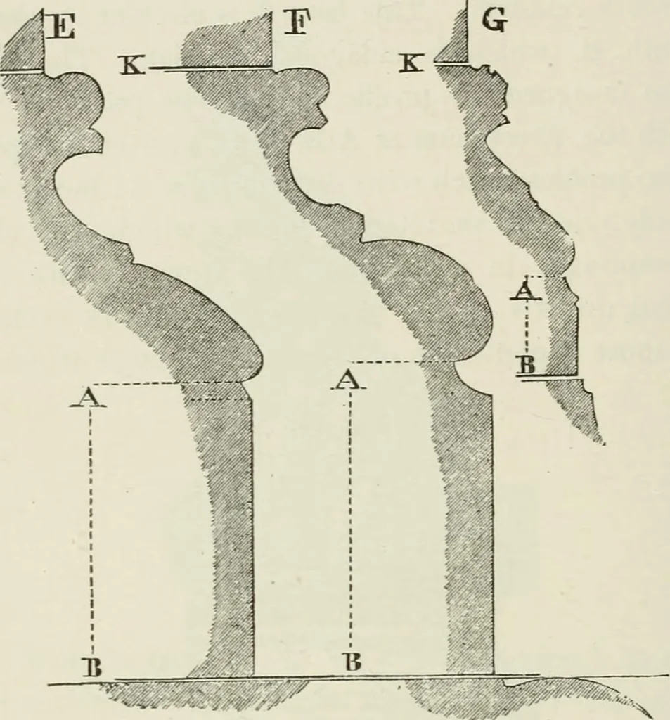 An illustration from Discourses on architecture, 1875, leaf 395