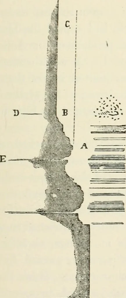 An illustration from Discourses on architecture, 1875, leaf 398