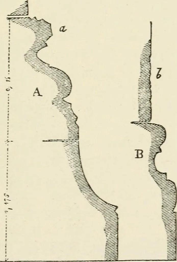 An illustration from Discourses on architecture, 1875, leaf 560