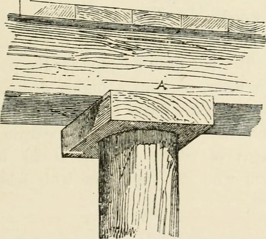 An illustration from Discourses on architecture, 1875, leaf 58