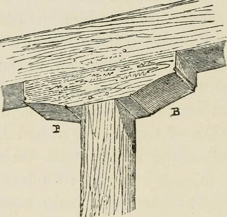 An illustration from Discourses on architecture, 1875, leaf 59