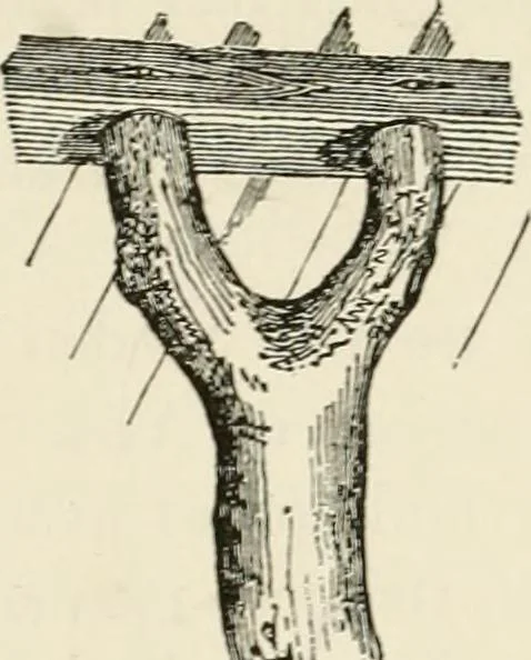 An illustration from Discourses on architecture, 1875, leaf 62