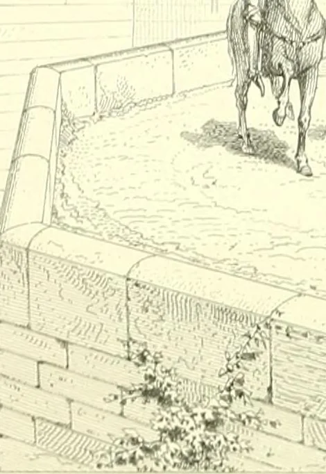 An illustration from Discourses on architecture, 1875, leaf 277