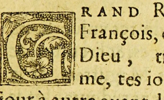 An illustration from Discours et congratulation a la France. Sur l'arriuée des peres capucins en l'Inde nouuelle de l'Americque meridionale en la terre du Brasil. ... : Auec la reception que leur on faict les sauuages de ce pays & la conuersion, d'iceux à nostre saincte foy ... : Declarées par six paires de lettres que deux desdits peres a sçauoir p. Claude d'Abbeuille, & p. Arsene de Paris, predicateurs ont escrites du 20. & 27. d'aoust de l'an passé ., 1613, leaf 9